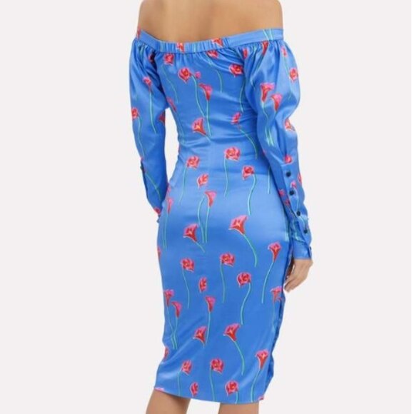 Caroline Constas Pre-fall NY 2019 Collection Dania Lilly Dress in Blue XS $598 - Picture 3 of 12